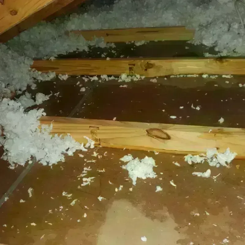 Attic Water Damage in Leavenworth, WA